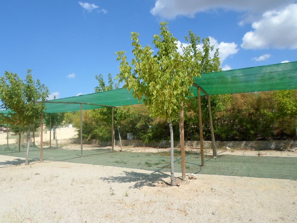 奥维拉 Complejo Pueblo Blanco酒店 外观 照片